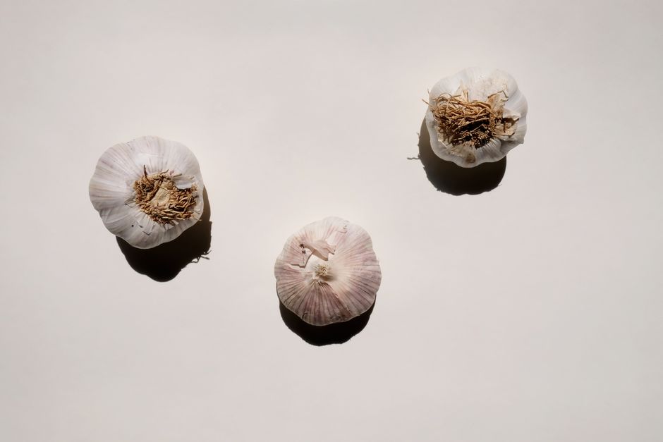 Illustration related to garlic