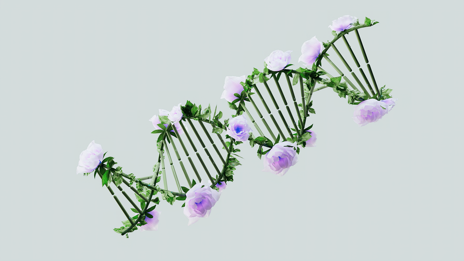 Illustration related to genes