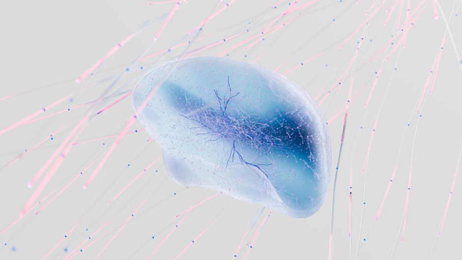 Illustration related to neurons